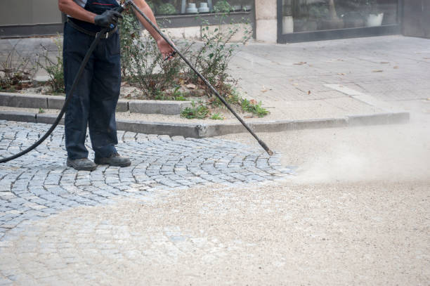 Animal Enclosure Cleaning in Asotin, WA